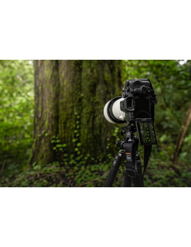 SONY ALPHA ILCE7 RM5 RV 61MP 10FPS VIDEO 8K NEW